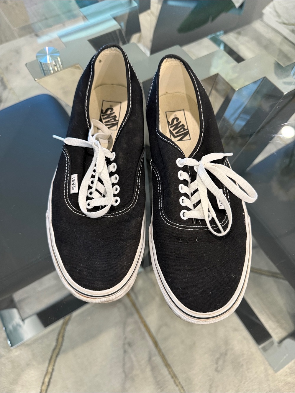 Vans Black Canvas Low-Top Sneakers with White Laces